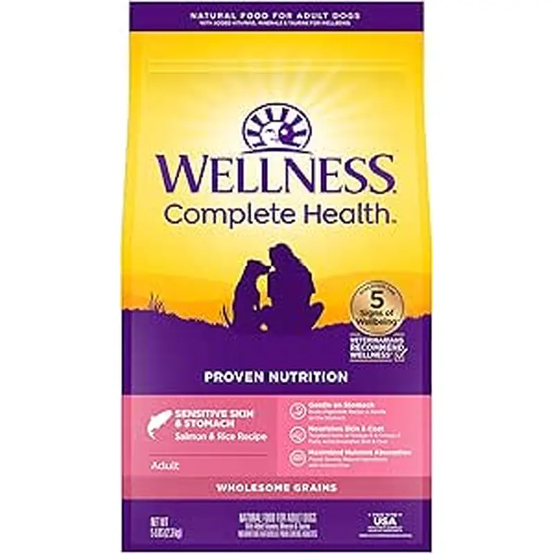 Wellness Complete Health Dry Dog Sensitive Skin & Stomach Salmon & Rice Adult