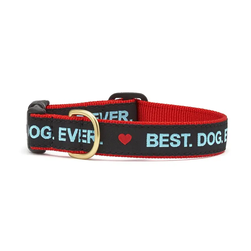 UP COUNTRY Best Dog Ever Collar for Dogs, L, 1"x15"-21"