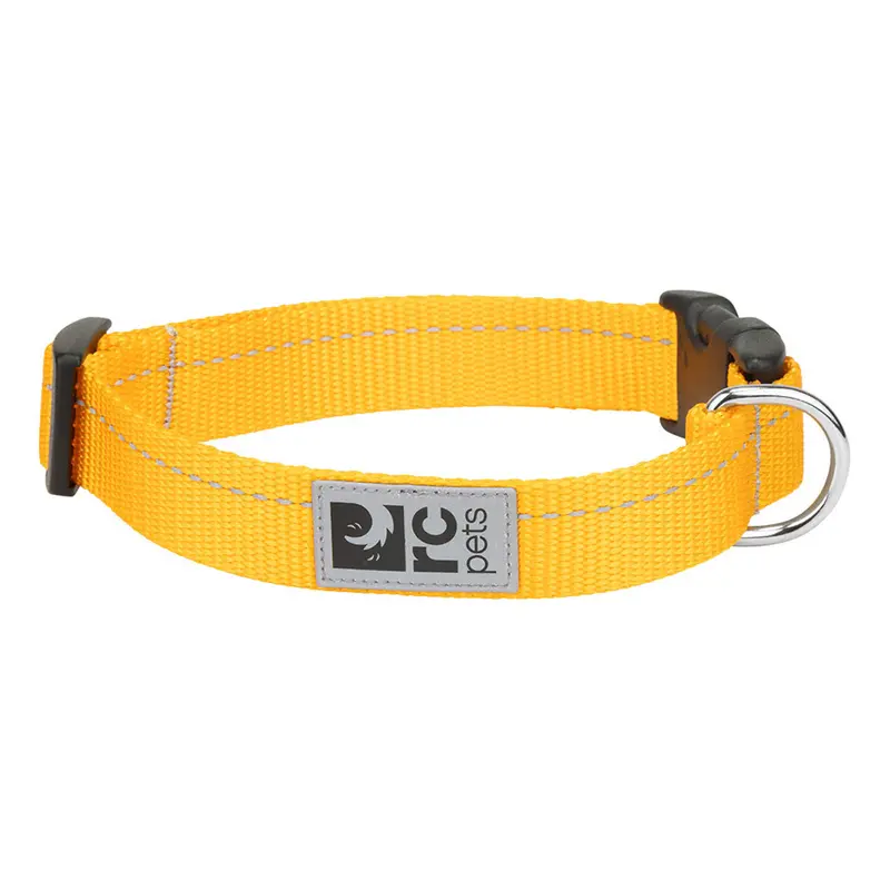 RC Pets Primary Clip Collar Marigold XSmall 5/8" Width
