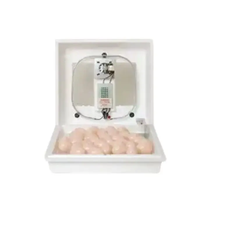 Little Giant Digital Egg Incubator