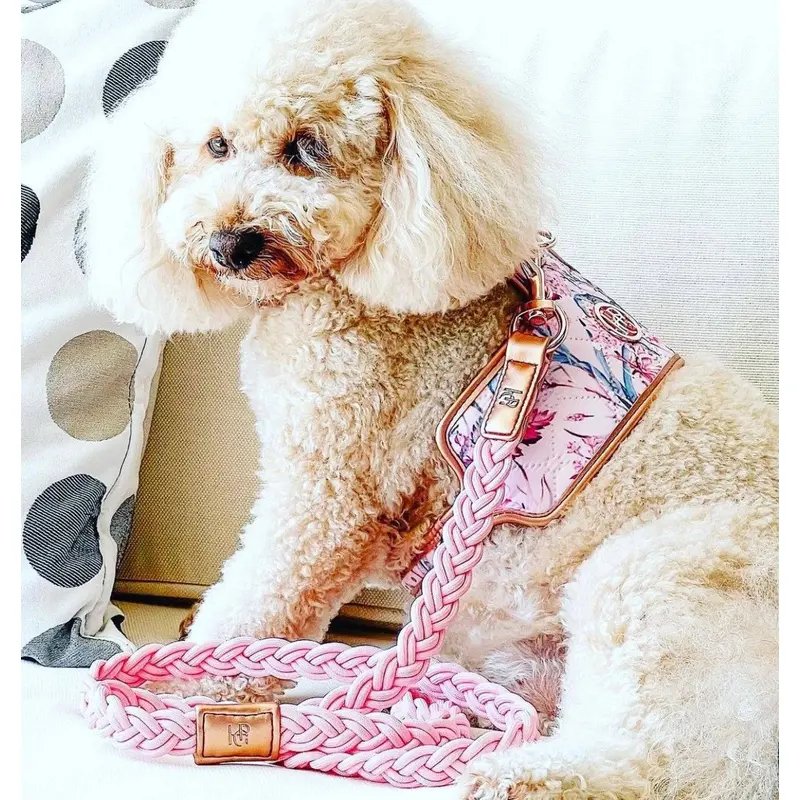 The Lady Dog Harness
