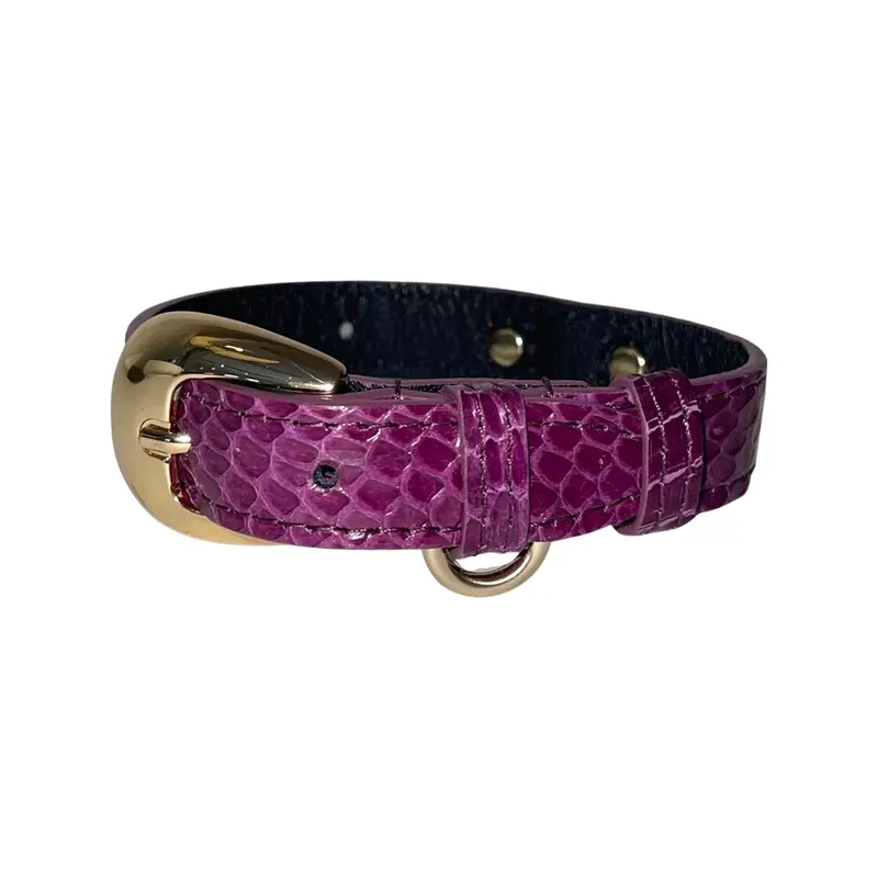 XS/S 7-14 Purple Custom Snake Collar/Custom Gold Oval Italian Hardware