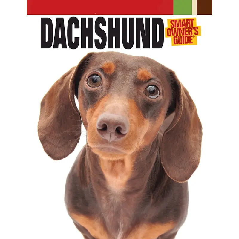 Dachshund