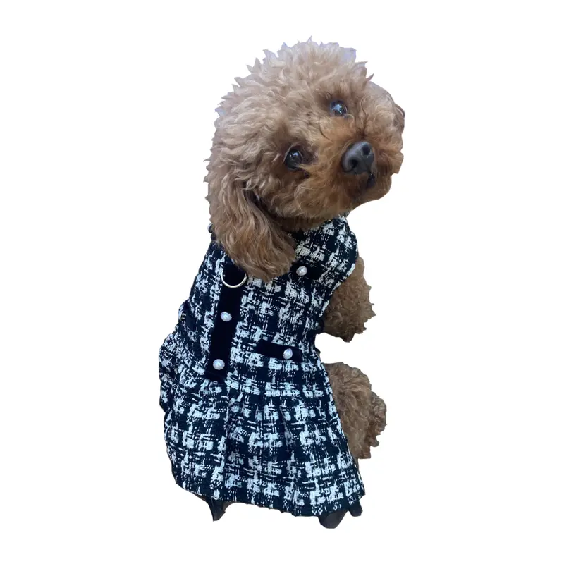 Chanel Dress, Black Plaid