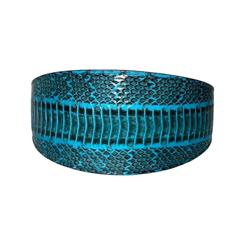 Turquoise & Black 3 Wide Style Collar