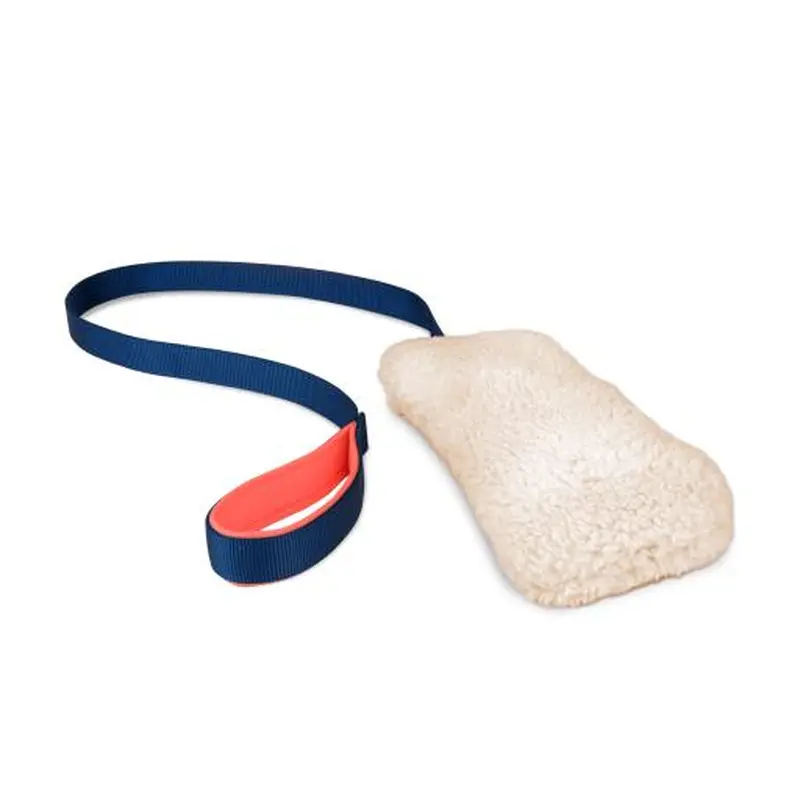 Coachi Chase & Crinkle Toy for Dogs