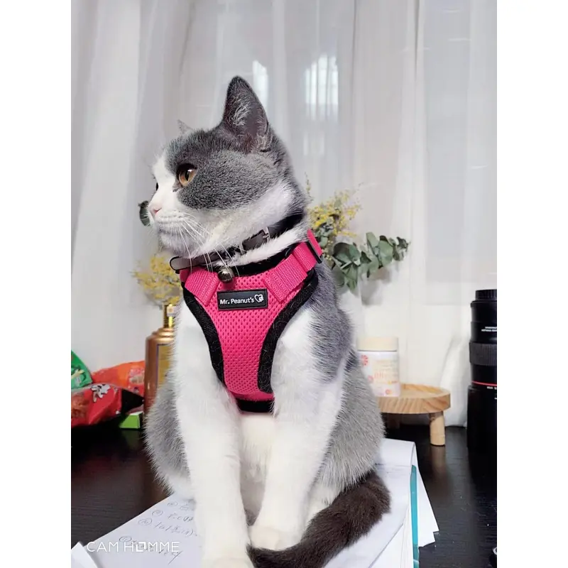 Mr. Peanuts PurrTrek Reflective Cat Harness with Matching Leash