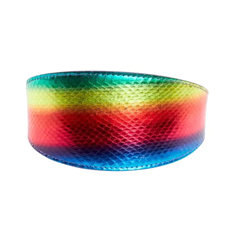 Pride Collection. Rainbow Snake 3 Wide Style Collar