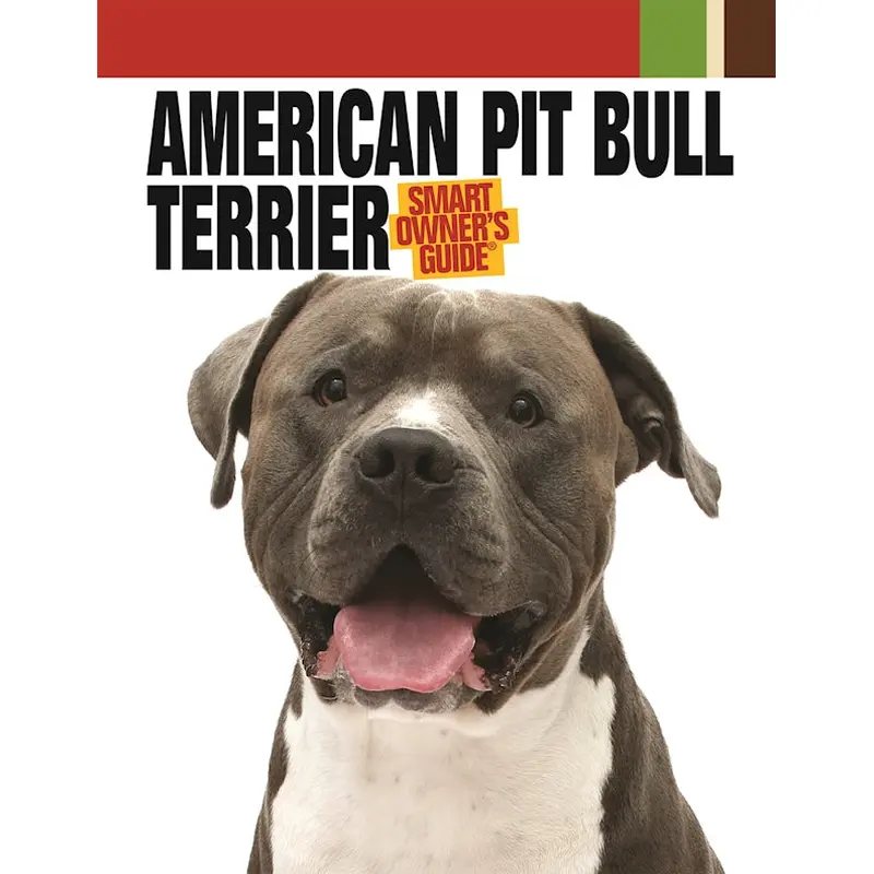American Pit Bull Terrier