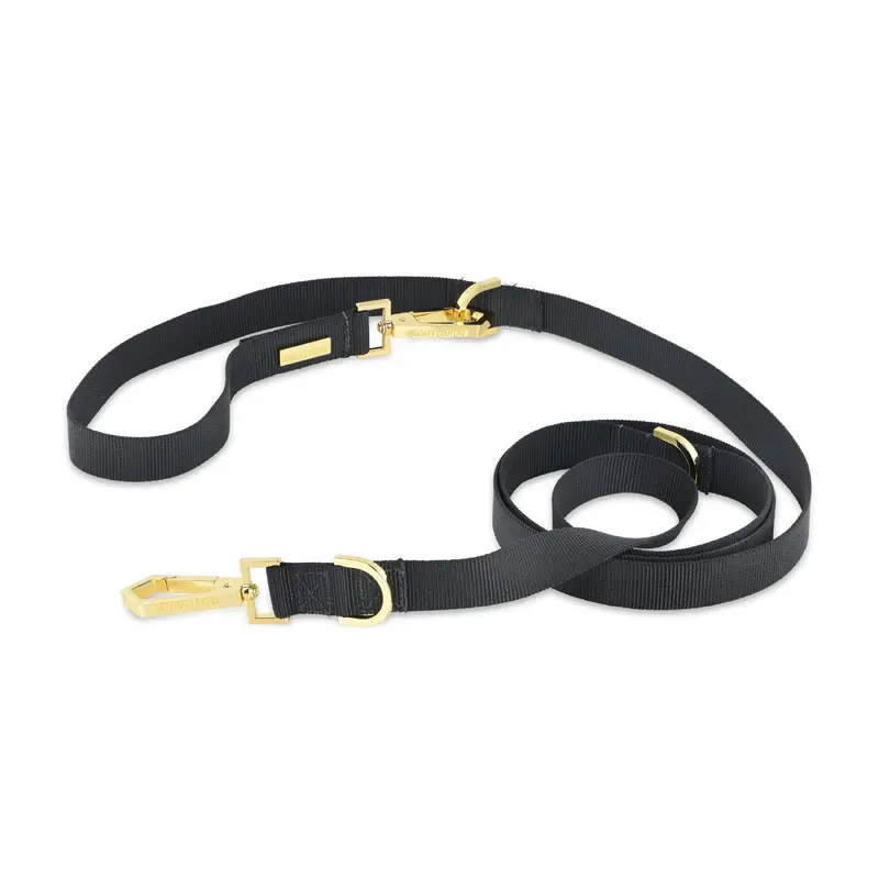 DO THE TRICK LEASH