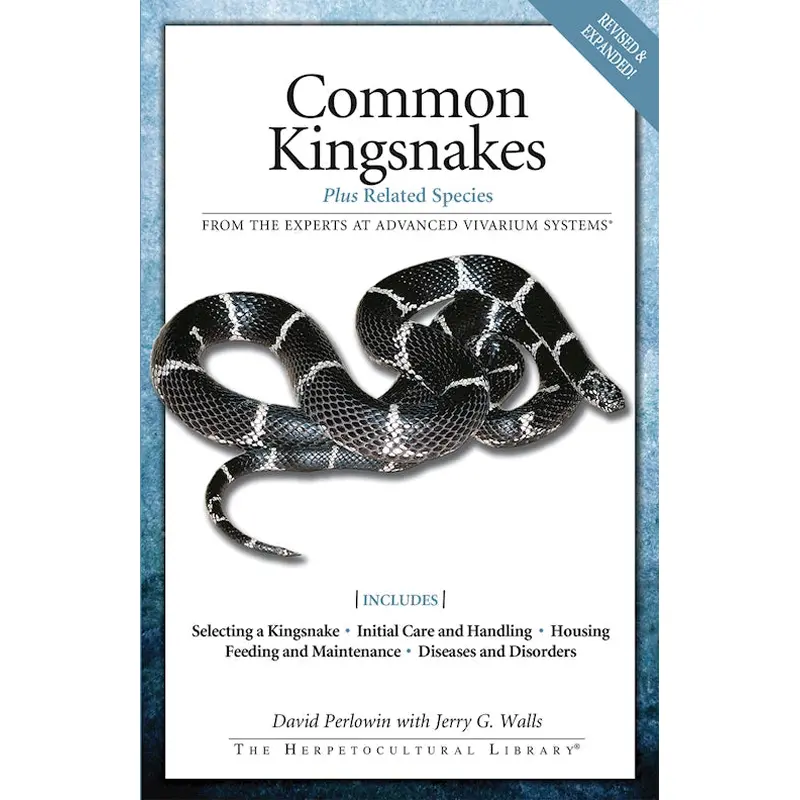 Common Kingsnakes