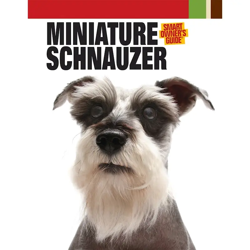 Miniature Schnauzer