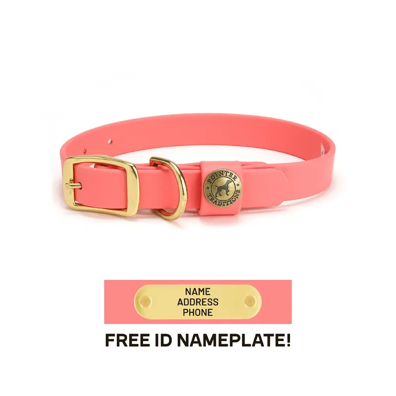 Sporting Dog Collar - Coral