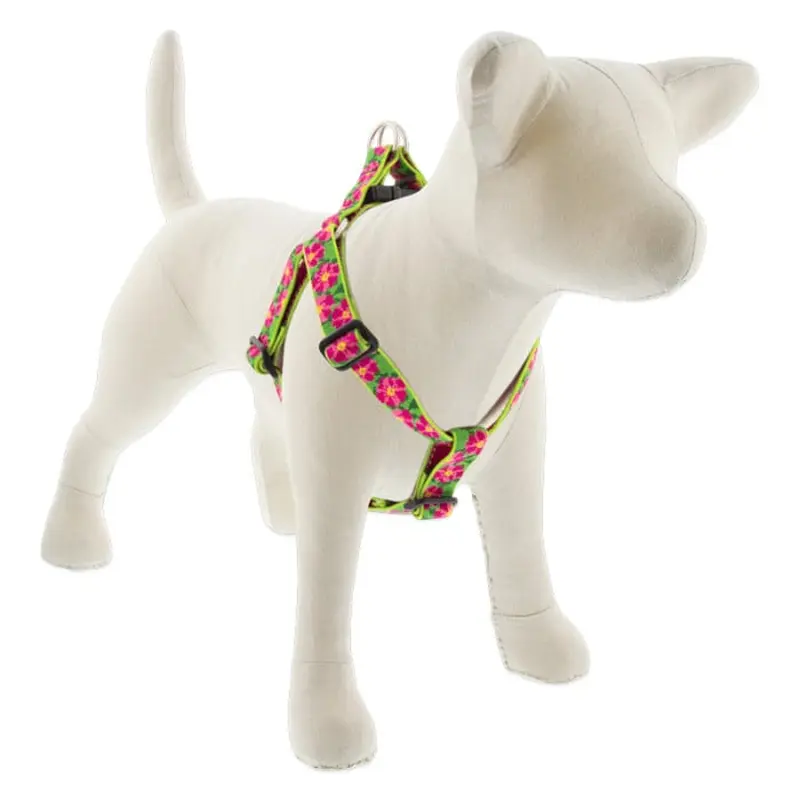 Lupine Pet Dog 1 In Wide 24-38 In Step  In Harness Original Designs Petunias