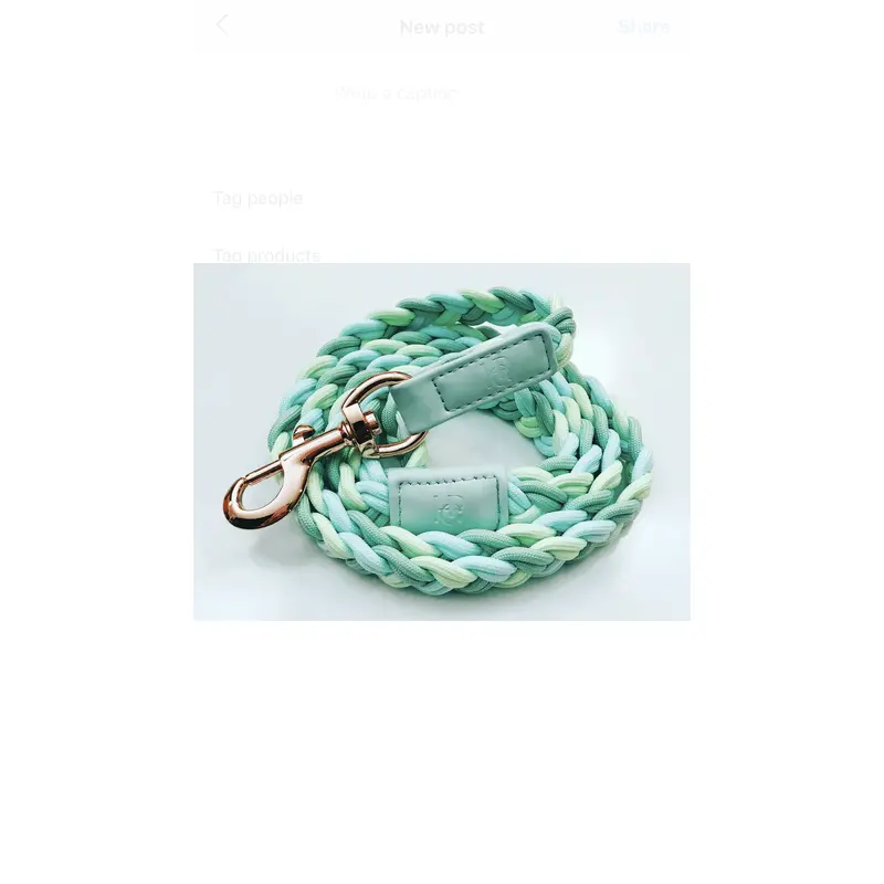 Dog Lead Aquamarine Plaited
