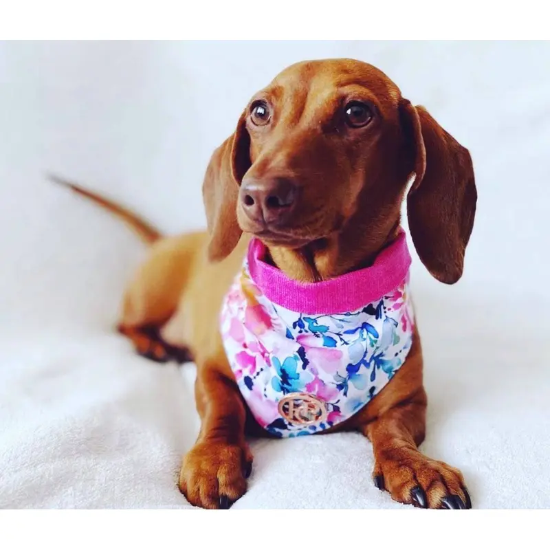 The Spring Fling Scarf