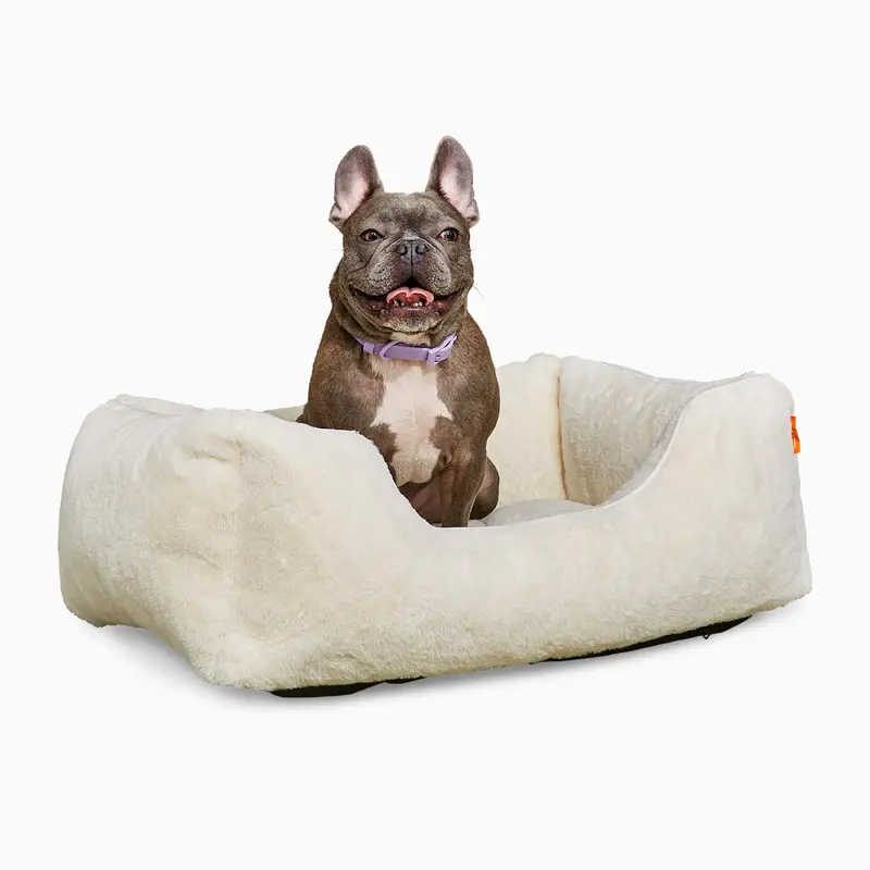 The Sammy Dog  Bed