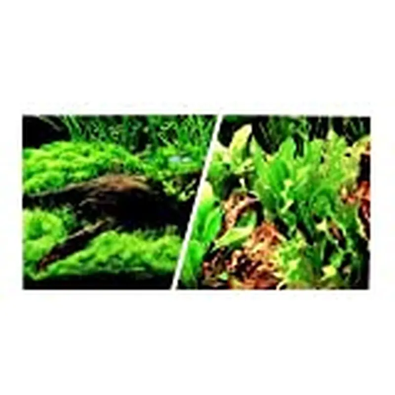 Marina Freshwater 12 in. x 50 ft. Aquarium Background - Japanese AquaScape/Freshwater