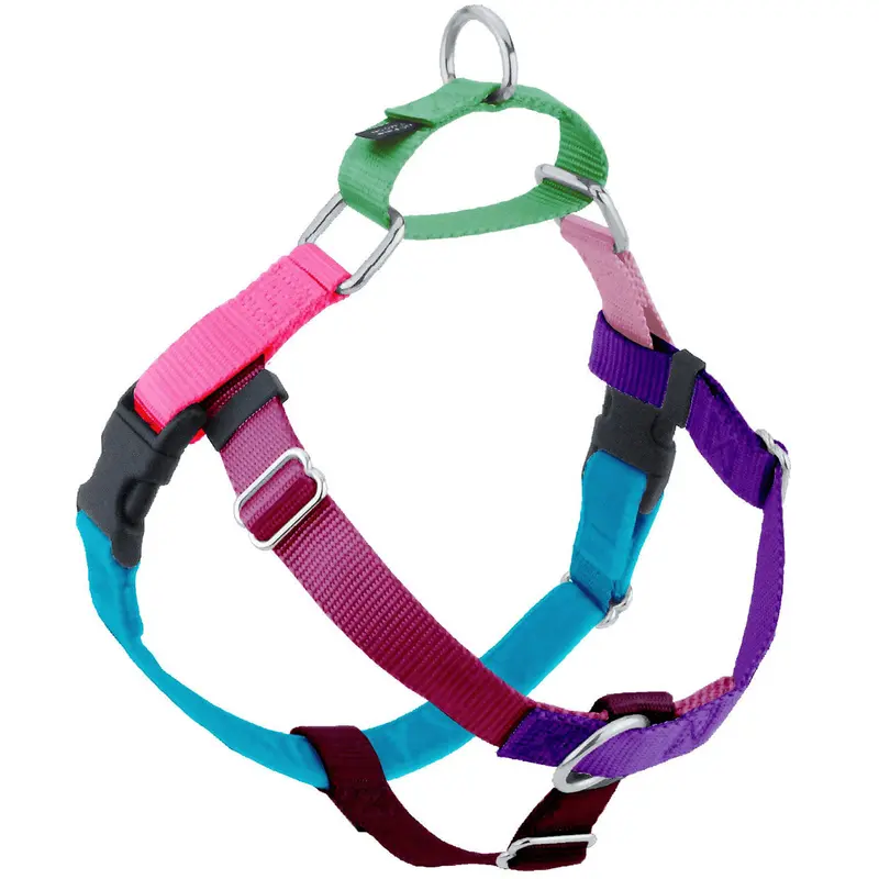 2 Hounds Design Freedom No-Pull Dog Harness - Large 1" x 28-32" - Jellybean Sugar