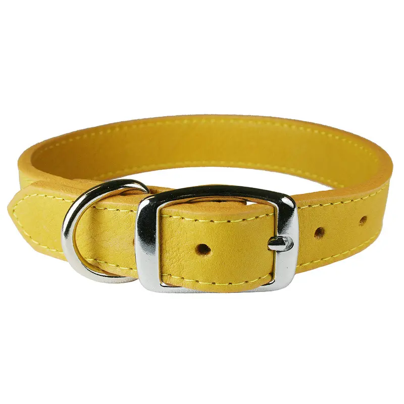 Golden Rod Luxe Leather Dog Collar / Lead