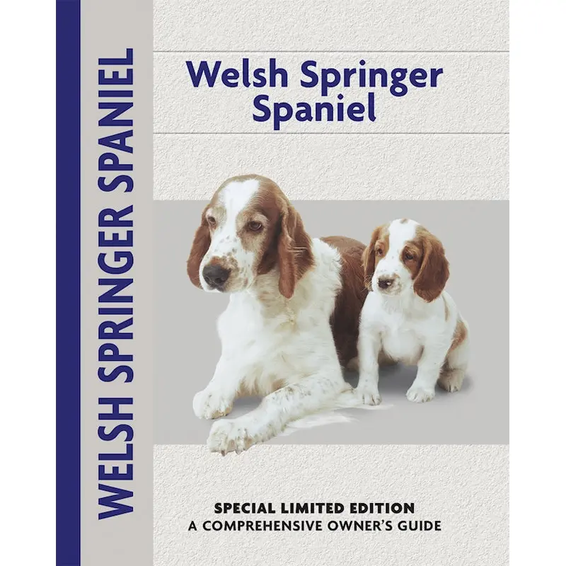 Welsh Springer Spaniel