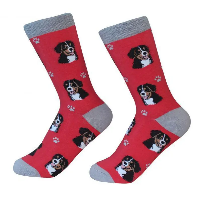Pet Socks -Bernese Mt. Dog