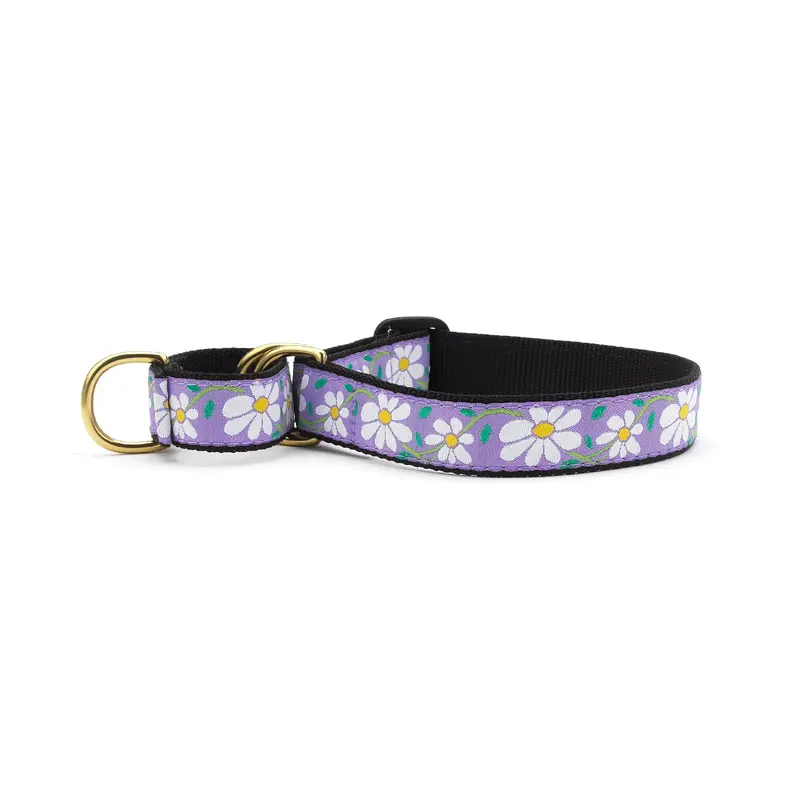 Daisy Martingale