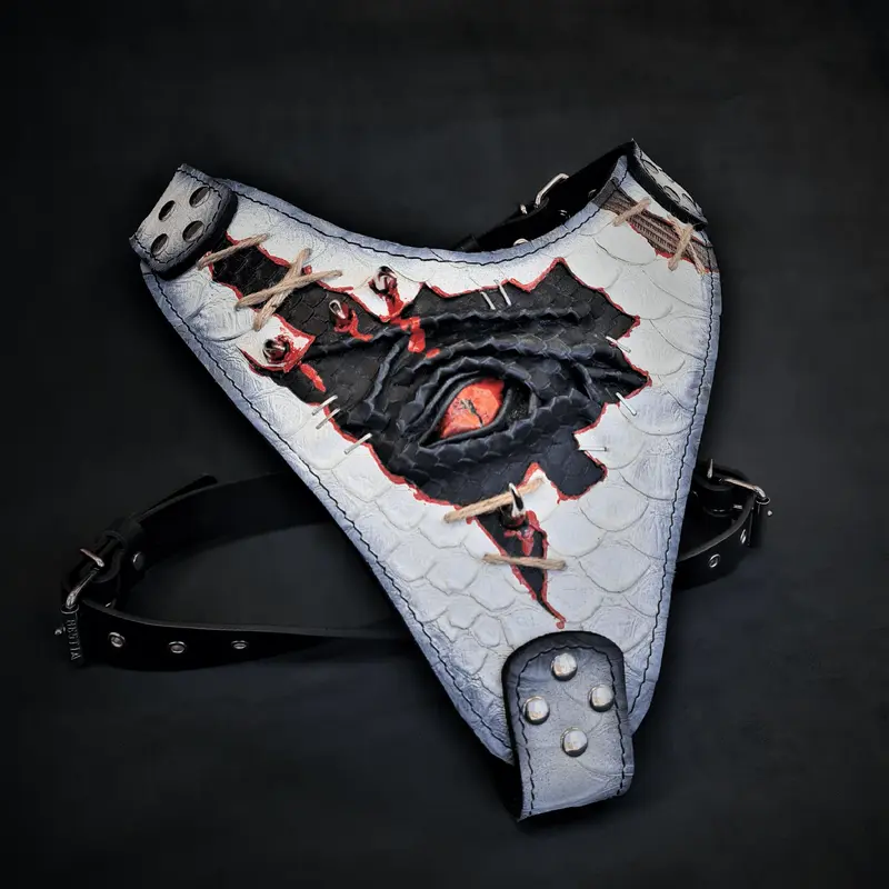 The Dragon's Eye Harness LIMITED!