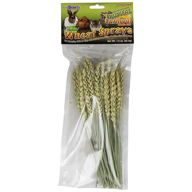 Brown's Tropical Carnival Wheat Sprays Small Animal Treat 1.5oz
