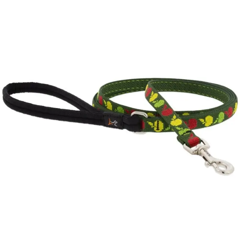 Lupine MicroBatch Limited Designs Dog Leash 1/2" x 6' Apple Season