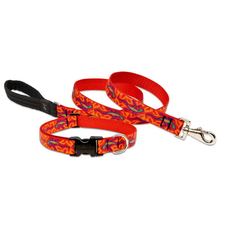 Lupine GoGo Gecko Leash