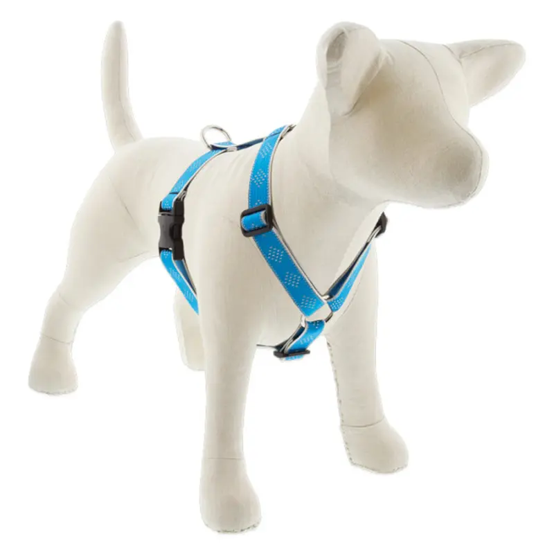 Lupine Reflective Roman Dog Harness 1" Wide 24"-38" Girth Blue Diamond