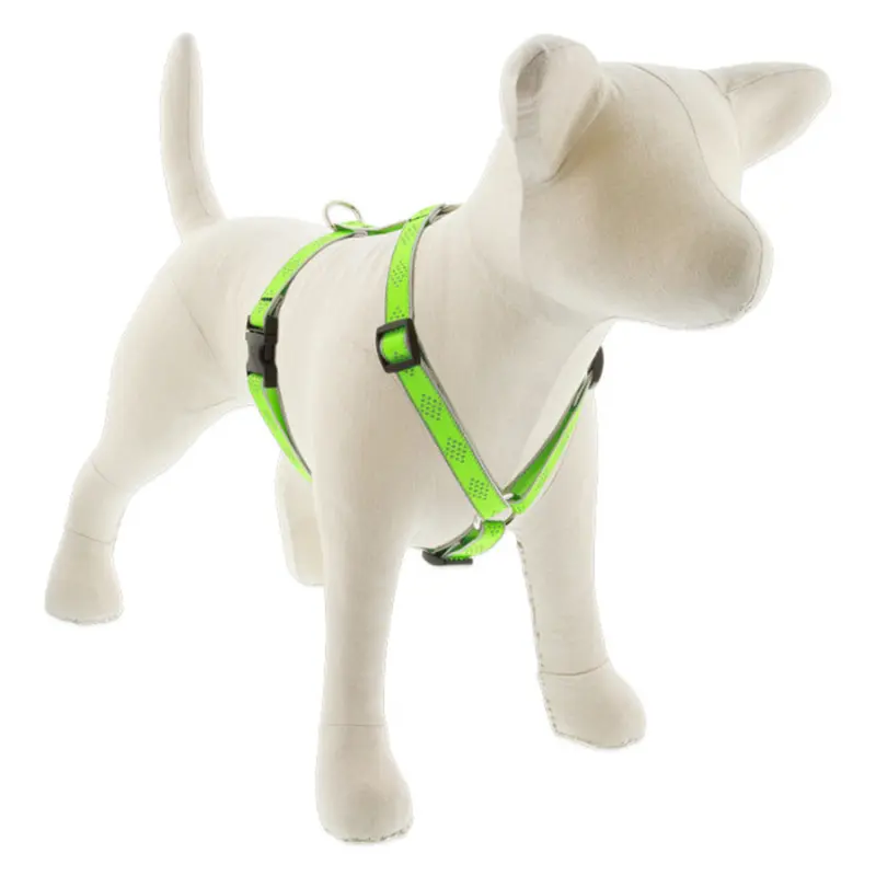 Lupine Reflective Roman Dog Harness 3/4" Wide 12"-20" Girth Green Diamond
