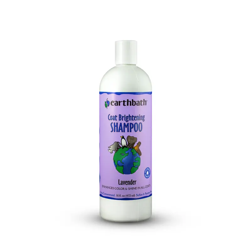 Earthbath Coat Brightening Shampoo 16 oz.