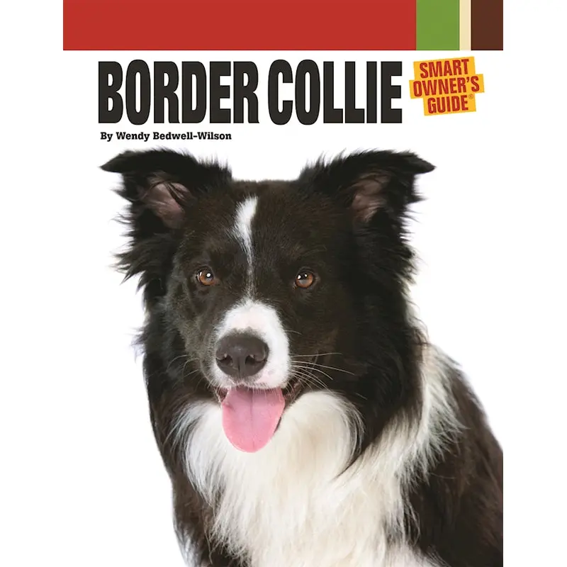 Border Collie | Hardback