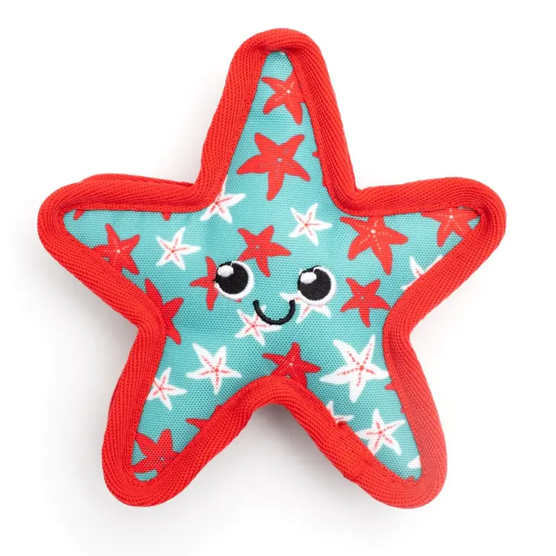 Turquoise Starfish Toy