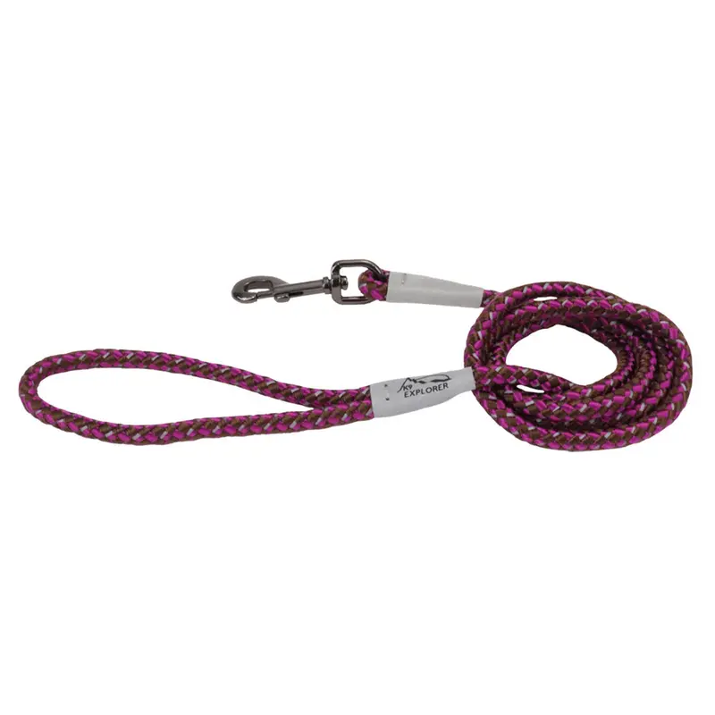 Coastal K9 Explorer Reflective Rope Snap Leash