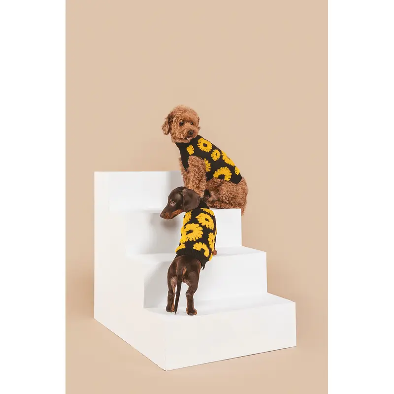 Sunflower Days Sweater