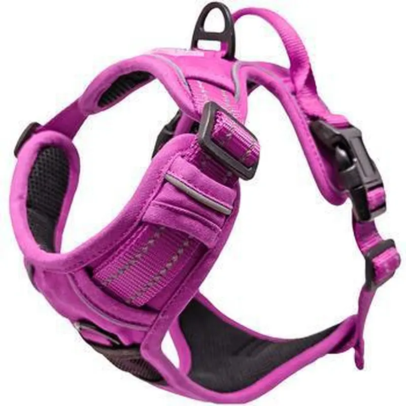 Wild Raspberry Venture Paw Harness Doggie Design