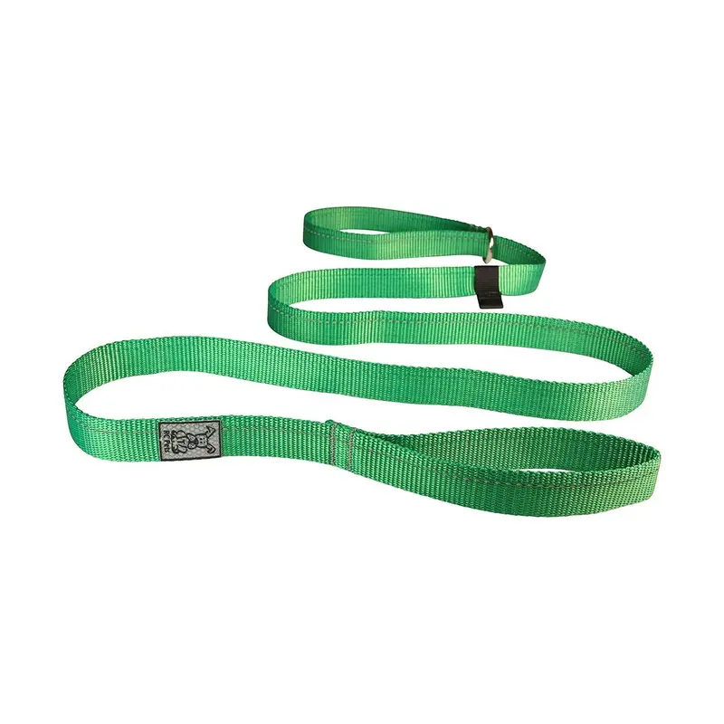 RC Pets Primary Dog Leash 1" Green